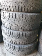 Nordman 7. ������, ��� �����, 2017 ���, �/�, ����� 40 % ����