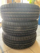 Windforce Catchfors H/T. ������, 2025 ���, ����� ����