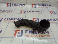 �������� ���������� ������� Hyundai Starex (A1) 28138-4A600 ����