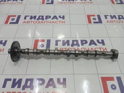 ���������� ��������� Volkswagen Tiguan 06H109022BB ����
