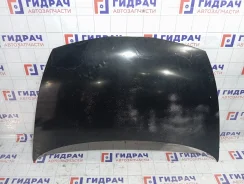 ����� Honda Civic 60100SNB000ZZ ����