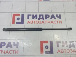����������� ����� ��������� Fiat Punto (199) 51778432 51778432 ����