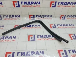 �������� ����� ���������� ������ ����� Ford Focus 1345305 1345305 ����