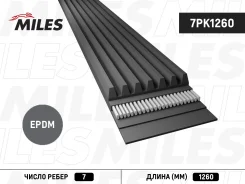 ������ ������������ Miles 7PK1260 7PK1260 ����