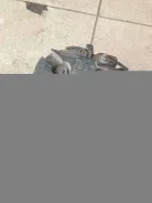 ��������� Opel Vectra C 2003 [shuk-113543763] 0124525030 ����