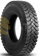 Teerex. �����������, 2026 ���, ����� ����