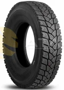 Teerex. �����������, 2026 ���, ����� ����