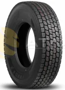 Teerex. �����������, 2026 ���, ����� ����