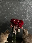 ������������ ������. ����