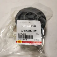 �����������. Nissan x-trail t30 RBI N24T30WB N24T30WB ����