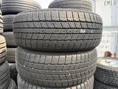 Zeetex Ice-Plus S100. ������, ��� �����, 2009 ���, �/�, ����� 35 % ����