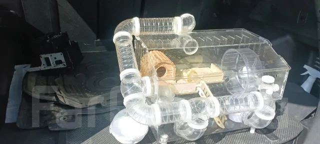 ������. ����