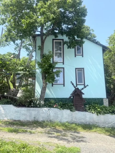 ���������. ����