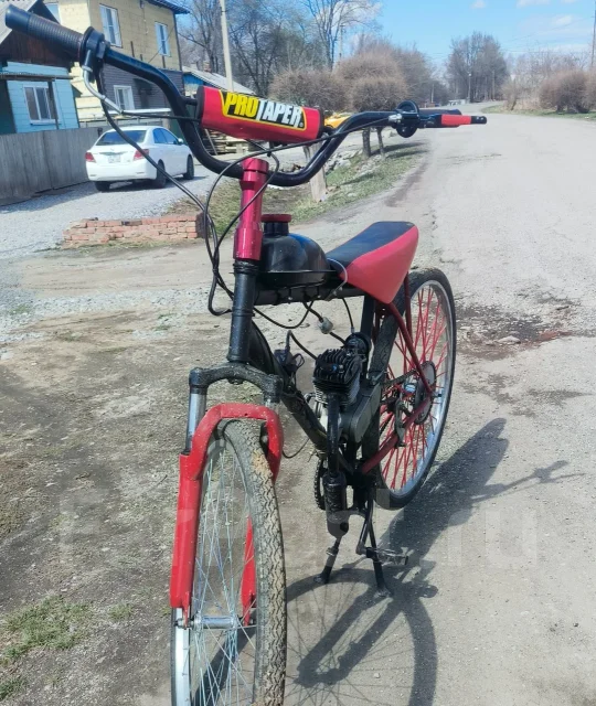 Stels. 49����. ��., �������� ����