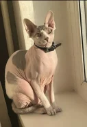 ��������� ������. ����