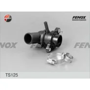 ��������� (+87�C) � ������� Fenox TS125 TS125 ����