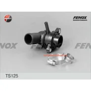 ��������� (+87�C) � ������� Fenox TS125 TS125 ����