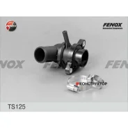 ��������� (+87�C) � ������� Fenox TS125 TS125 ����