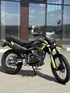 Regulmoto Grizzly
