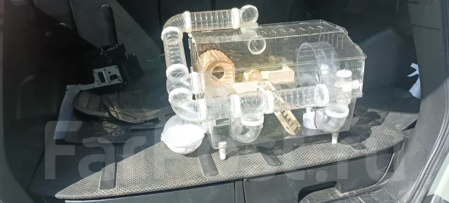 ������ ����� ��� �������� ����