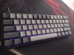 ����������. ����