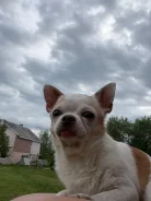 ������. ����