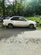 Nissan Sunny. ��������, ��������, 2.2 (79��.�.), ������, 300 000����. �� ����
