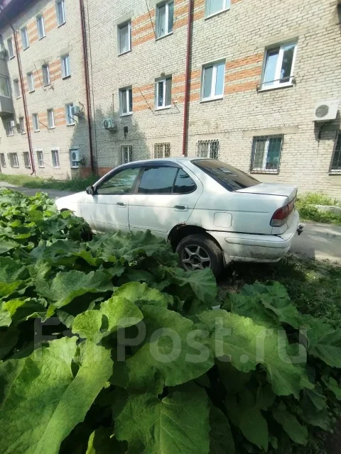 Nissan Sunny. ��������, ��������, 2.2 (79��.�.), ������, 300 000����. �� ����