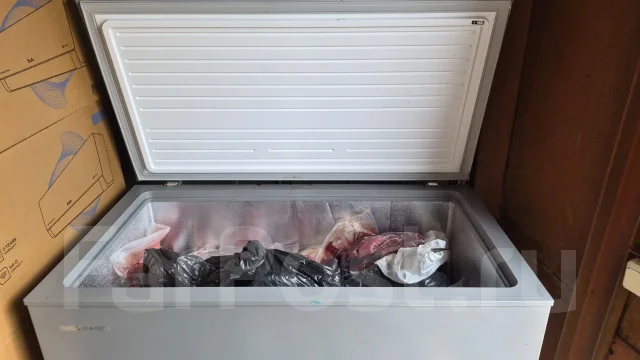 ���� �����������. ����