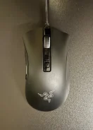 ���� ������������. ����