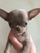 ��������. ����