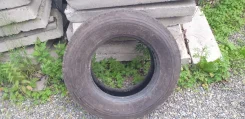 Triangle TR675. �����������, 2024 ���, �/�, ����� 40 % ����