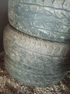 Marshal Road Venture AT51. ����� at, 2012 ���, �/�, ����� 40 % ����