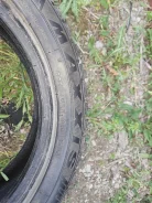 Maxxis WP-05 ArcticTrekker. ������, ����������, 2019 ���, �/�, ����� 40 % ����