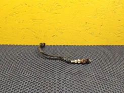 ������-���� 11787539125 ����