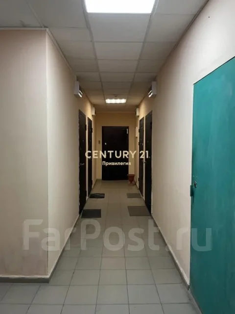������, ����� ������������ 25. �������� (�����), ���������, 28,5���.��. (����), 1/3 ����. ������� ������ ����