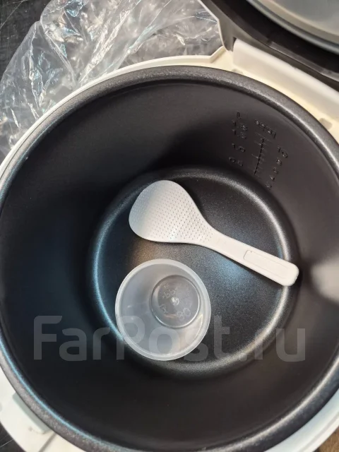���������. ����