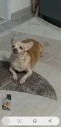 ������. ����