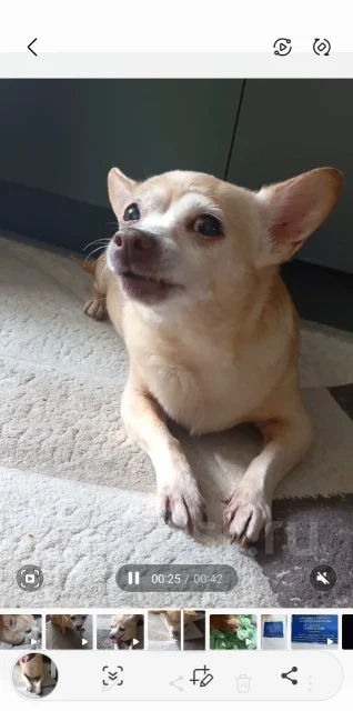 ������. ����