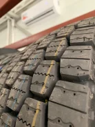 Greenstone ST336. �����������, 2025 ���, ����� ����