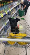 ������ � ������ ���� ����