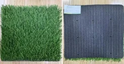 ������ �������������. ����