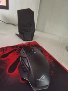 ���� ������������. ����