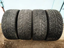 Tigar Winter. ������, ��� �����, 2021 ���, �/�, ����� 15 %. �������� ������� ����