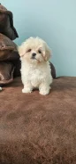 ��������. ��� ����� �� ���������� ����