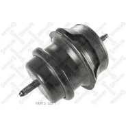 ������� ��������� �����. Nissan Skyline Stellox 2517349SX 2517349SX ����