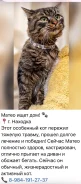 �����. ����