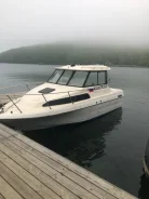 Bayliner. 1997 ���, ����� 7��., ��������� ������������, 250��.�., ������ ����