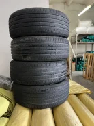 ZMax Zealion. ������, 2023 ���, �/�, ����� 10 % ����