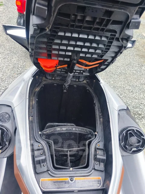 BRP Sea-Doo GTX. 2019 ��� ����